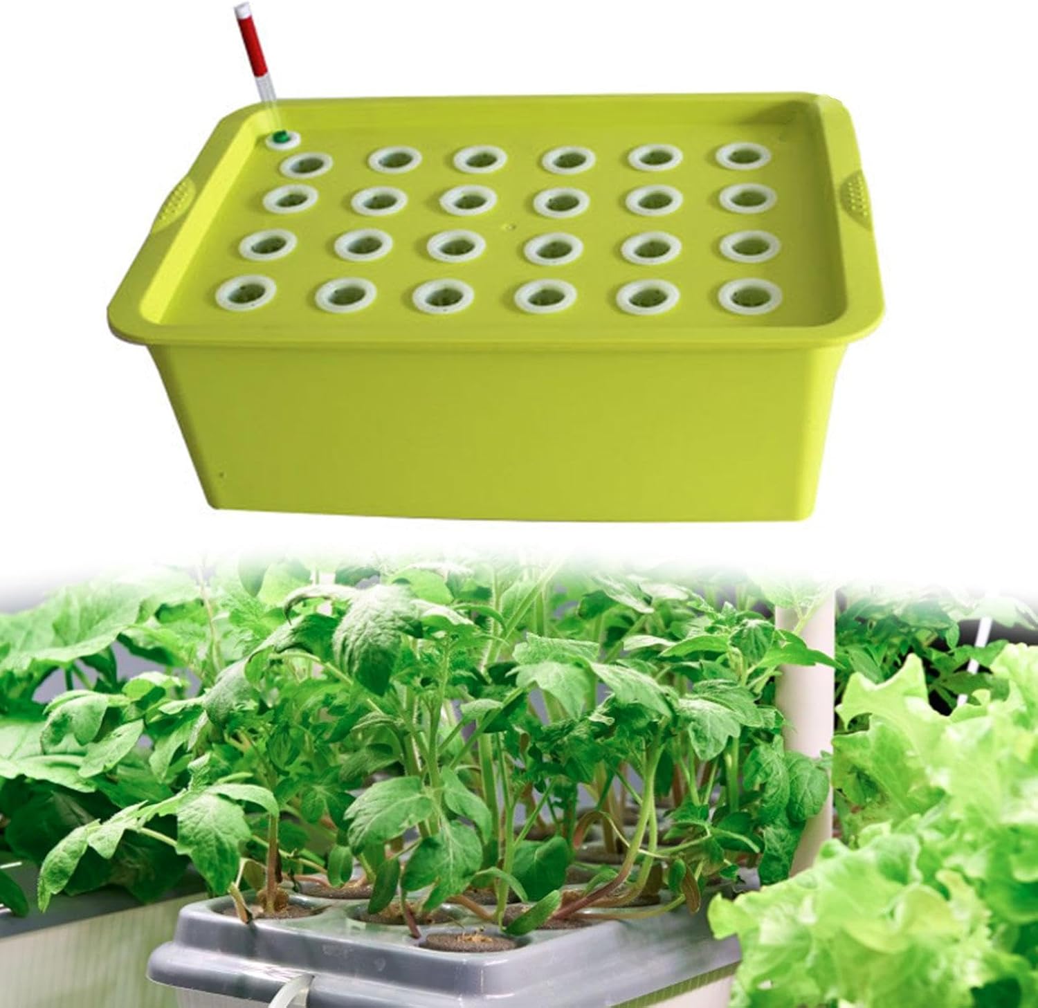 Generic Indoor Hydroponic Grow Holes Plant Site Hydroponic Set Hydroponic System Grow Boxes for Market, Green
