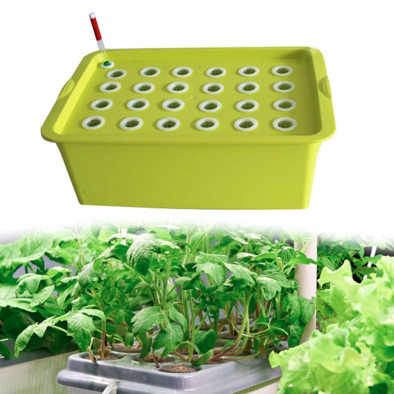 Amazon｜LOL-FUN 水耕栽培システム 24穴 水耕栽培キット 水耕