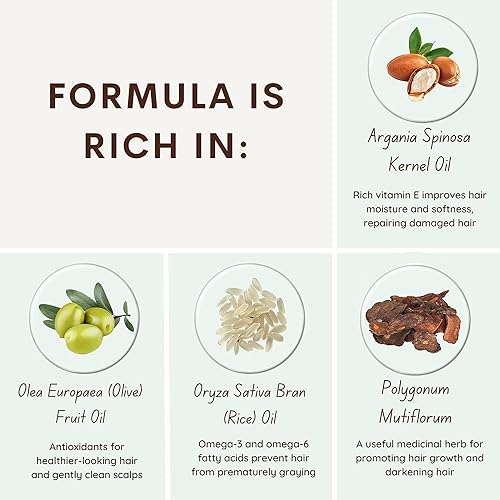 Miniatura 2 de KILOMETS Champú de tinte para el cabello castaño claro 3 en 1, champú de color para el cabello, cobertura de canas, sin amoníaco, regalo de