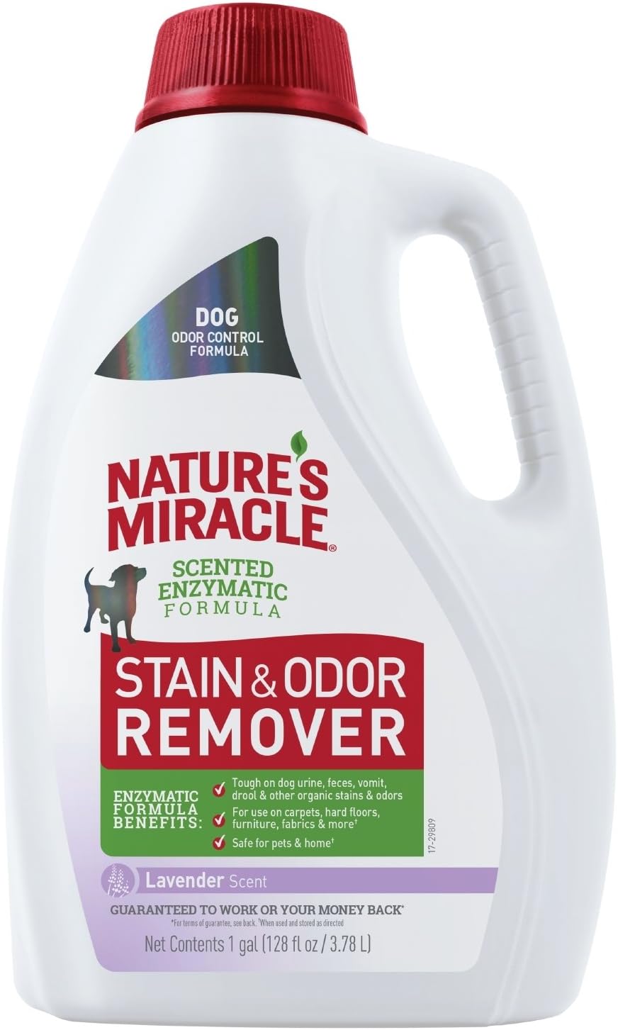 Nature's Miracle P-98155 Dog Stain and Odor Remover Enzymatic Formula for Urine Stains, Feces Stains, Vomit Stains and Drool Stains, Odor Control, Lavender Scent, 128 fl oz : Pet Supplies