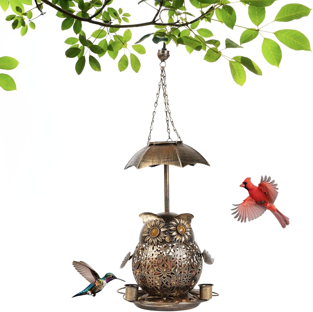 Bird Feeder for Outdoors