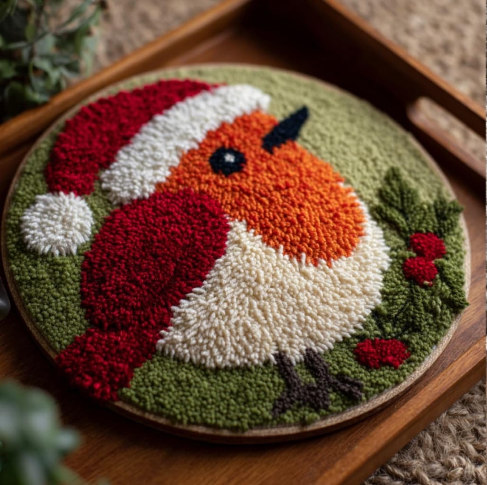 WallustrioaW DIY Latch Hook Rug,Robin Christmas,Crochet Kits Embroidery Kits Home Carpet Rug Making Canvas,Needlework Crafts for Home Decor,50x50cm