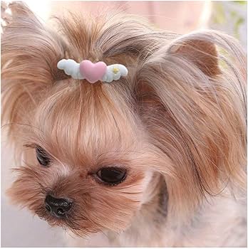 Amazon.co.jp: Rippem8 犬 ヘアピン ヘアクリップ ヘアゴム ヘア