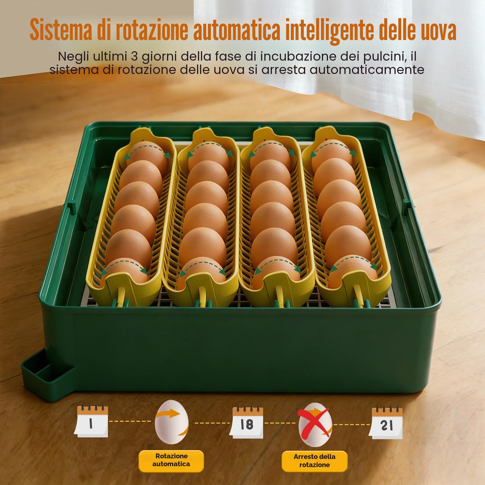 Incubatrice Automatica per 24 Uova con Controllo della Temperatura, Rotazione delle Uova, Sperauova, Incubatrice per Gallina Anatra Quaglie