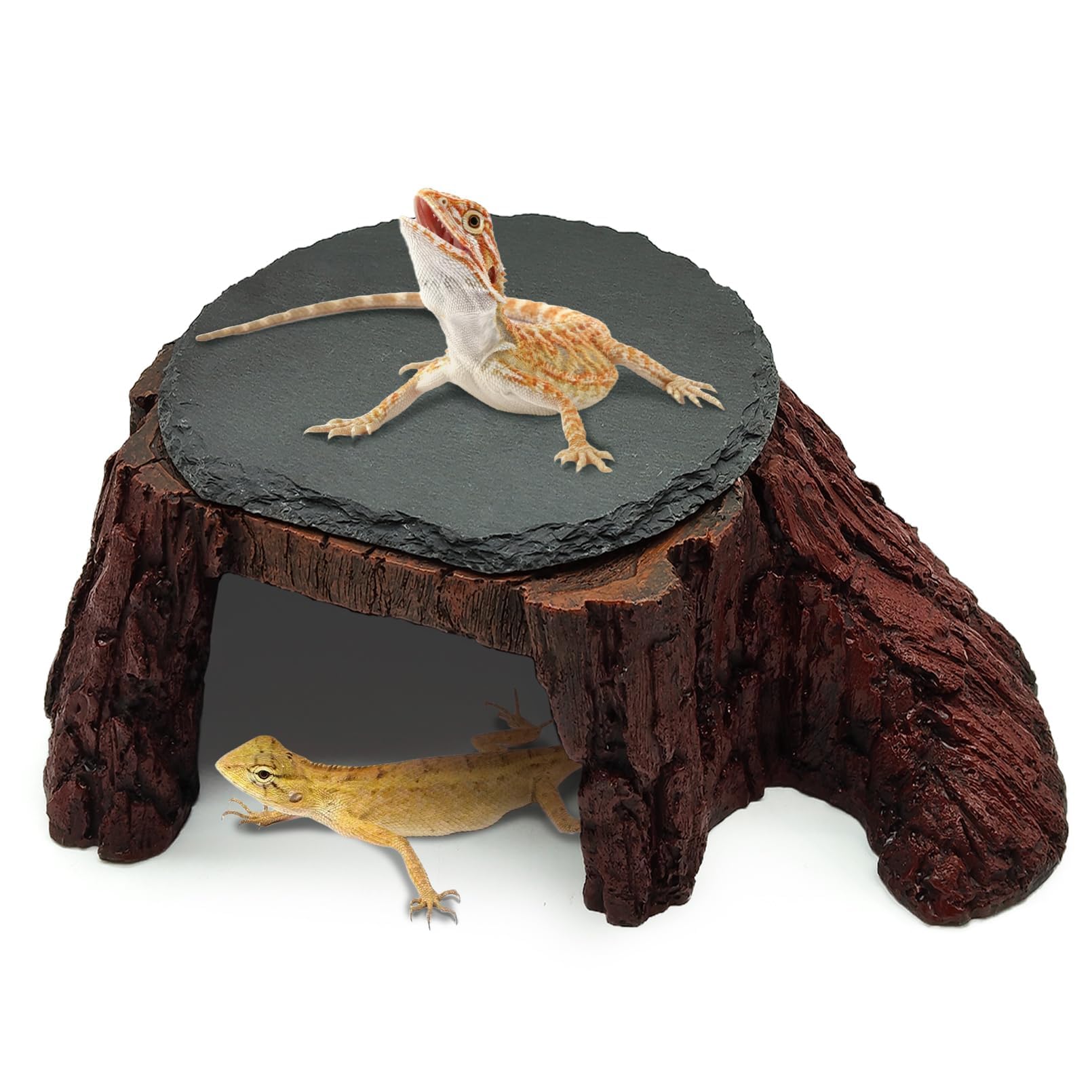Gxsdj Bearded Dragon Basking Platform - habitat decor | Mubboo