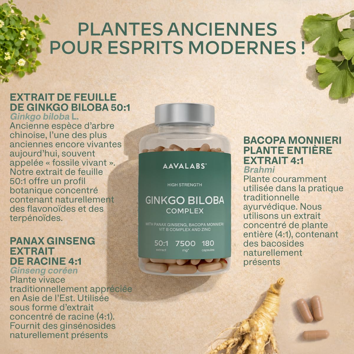 Ginkgo Biloba 7500mg 50:1 avec Panax Ginseng Rouge de Corée, Bacopa Monnieri, Zinc, Vitamine B Complex - Nootropique Puissant Circulation Sanguine, Memoire et Concentration, Energie - 180 Capsules