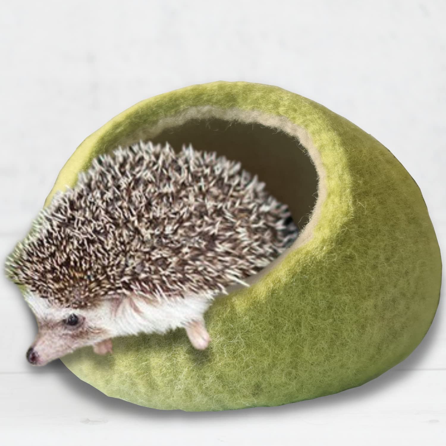 bearded dragon cuddle cave