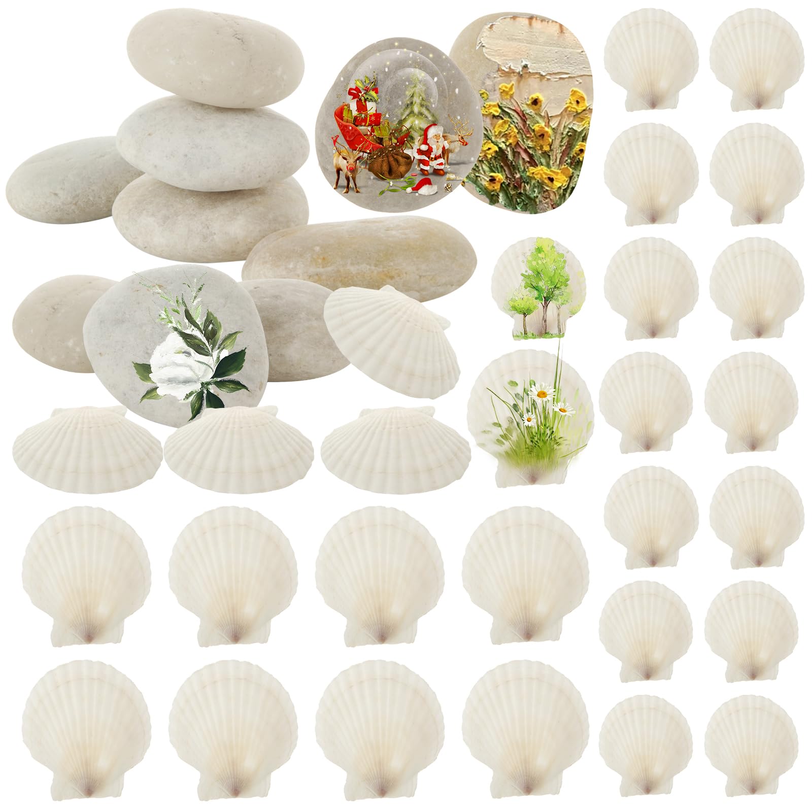 YAYODS Scallop Shells for Crafts Large Sea Shells for Decorating White Large Seashells for Craft Painting Decoration (15Pcs 2"-3" Scallop Shells+15Pcs 3"-4" Scallop Shells+20Pcs 2"-3" Painting Rocks)