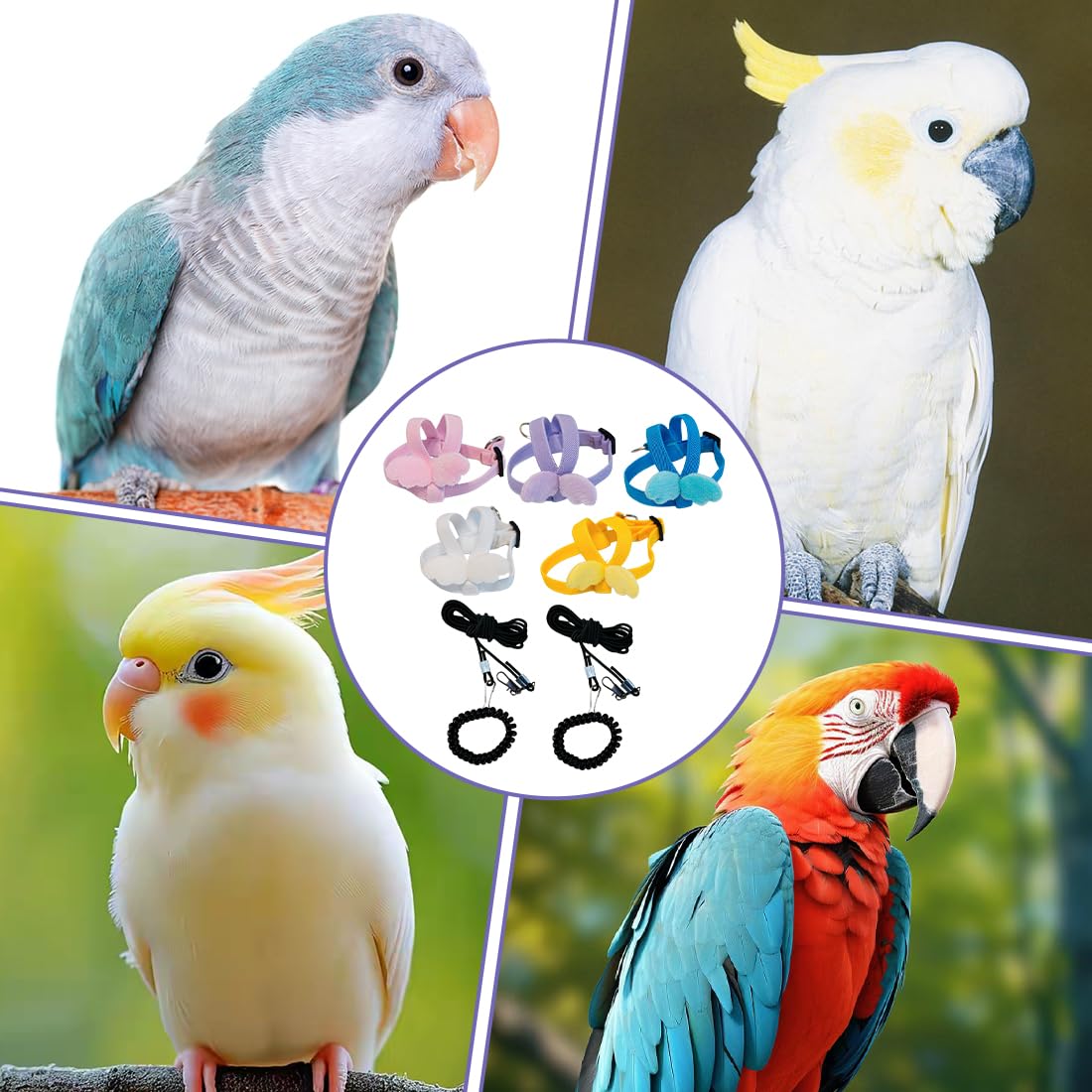 Harnais Perroquet 5 Pièces Harnais Pour Perroquet Ajustable Avec Laisse Vol Entraînement Sécurité Petit Oiseau Calopsitte Accessoire Aviaire Corde Réglable Pour Animaux