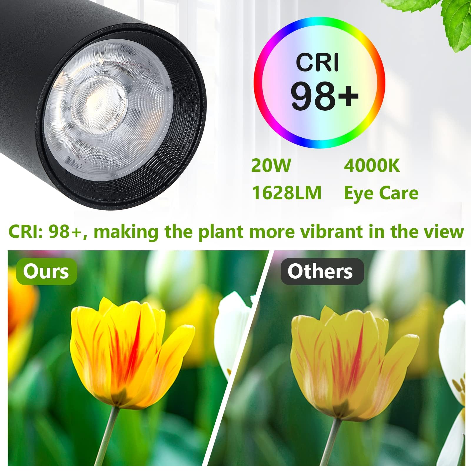 Rayofly Pflanzenlampe LED Vollspektrum, 20W Pflanzenlicht für Zimmerpflanzen, Höhenverstellbare Wachstumslampe mit Zeitschaltuhr 4/8/12H und COB Pflanzen-Glühbirne, Stand Grow Light für Große Pflanze