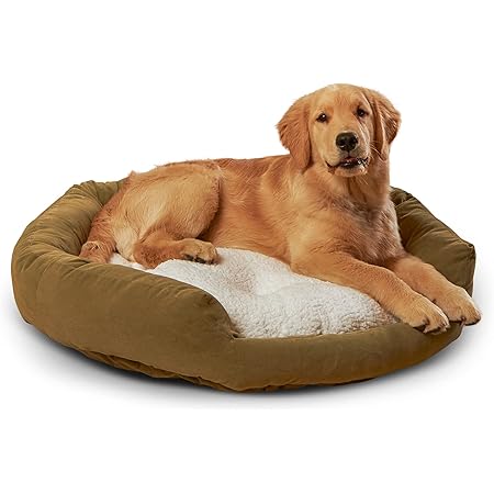 kuranda dog beds amazon