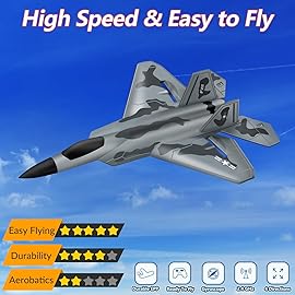 HAWK\'S WORK 2 CH RC Airplane, F-22 Plane Ready to Fly, 2.4GHz Remote Control, Easy to Fly RC Glider for Kids & Beginners