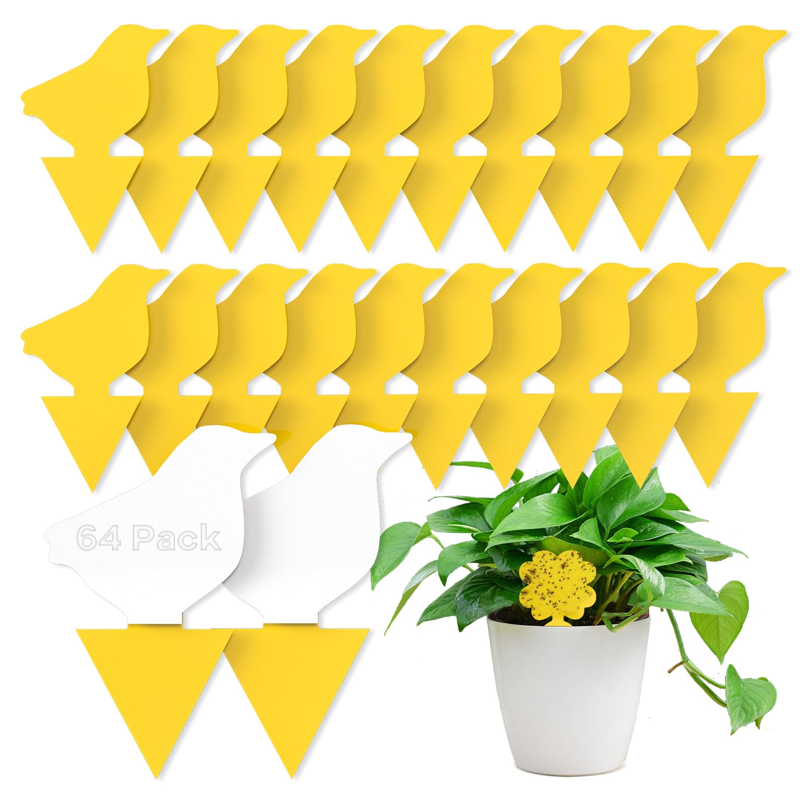 Fruit Fly Traps,Double-sided Fungus Gnat Sticky Catcher,for Greenhouses Orchards