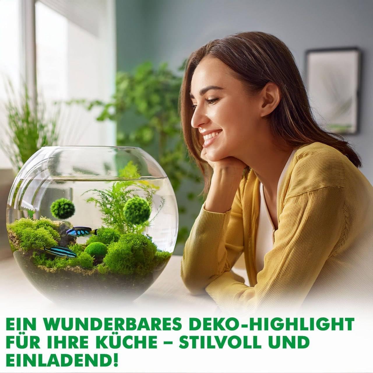 10 pezzi + 1 sfere di muschio per acquario, Cladophora aegagropila linneiae muschio, piante acquarie, muschio, decorazione per acquario, piante vere, marimo, moosball (2-3 cm)