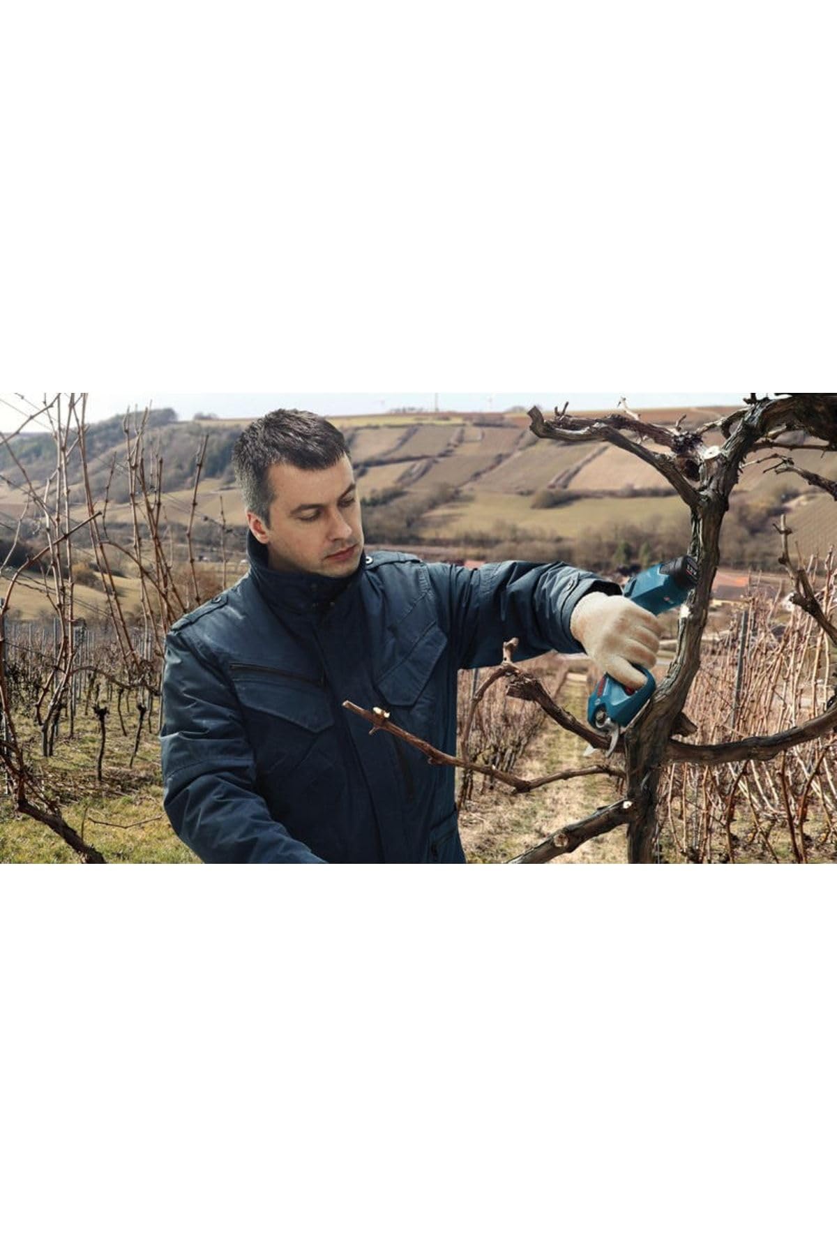Bosch Professional Sistema de 12 V: Tijeras de podar inalámbricas Pro Pruner (máx. profundidad de corte en madera (ramas de árboles) 25 mm