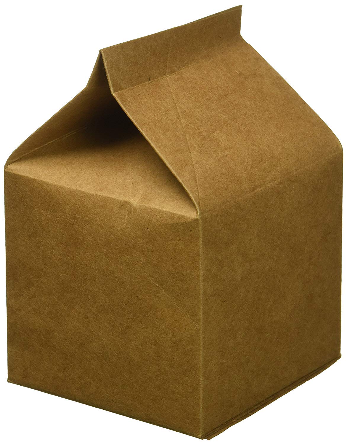 Darice Kraft Party Favor Milk Cartons, 24 Count (Pack of 1)