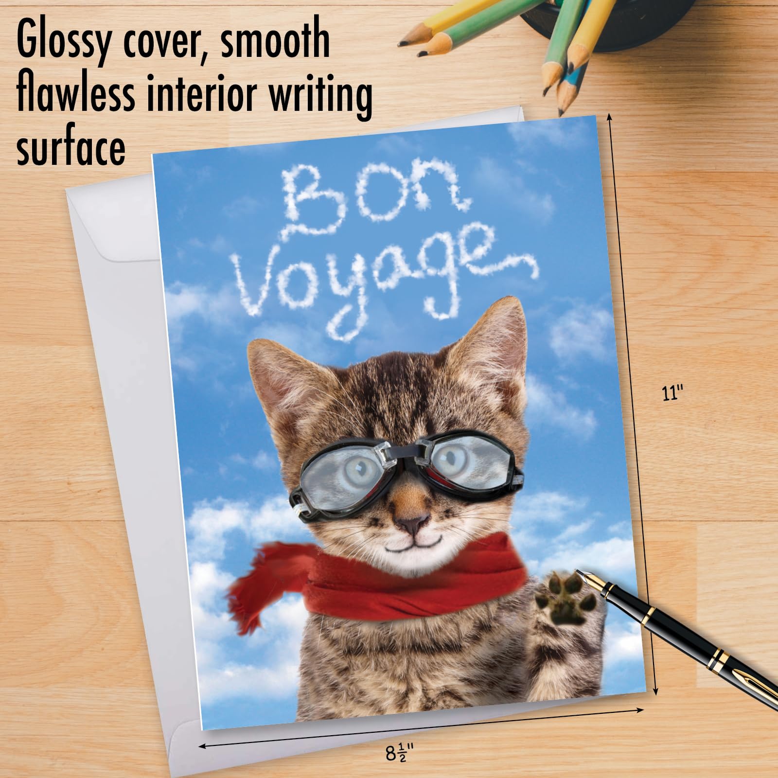 NobleWorks, Goodbye Cat - Jumbo Bon Voyage Greeting Card from All