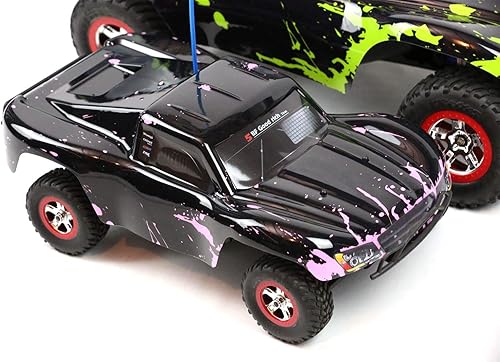 SummitLink Reemplazo de cuerpo personalizado compatible con color rosa fangoso sobre negro para automóvil o camión RC escala 116 (camión no