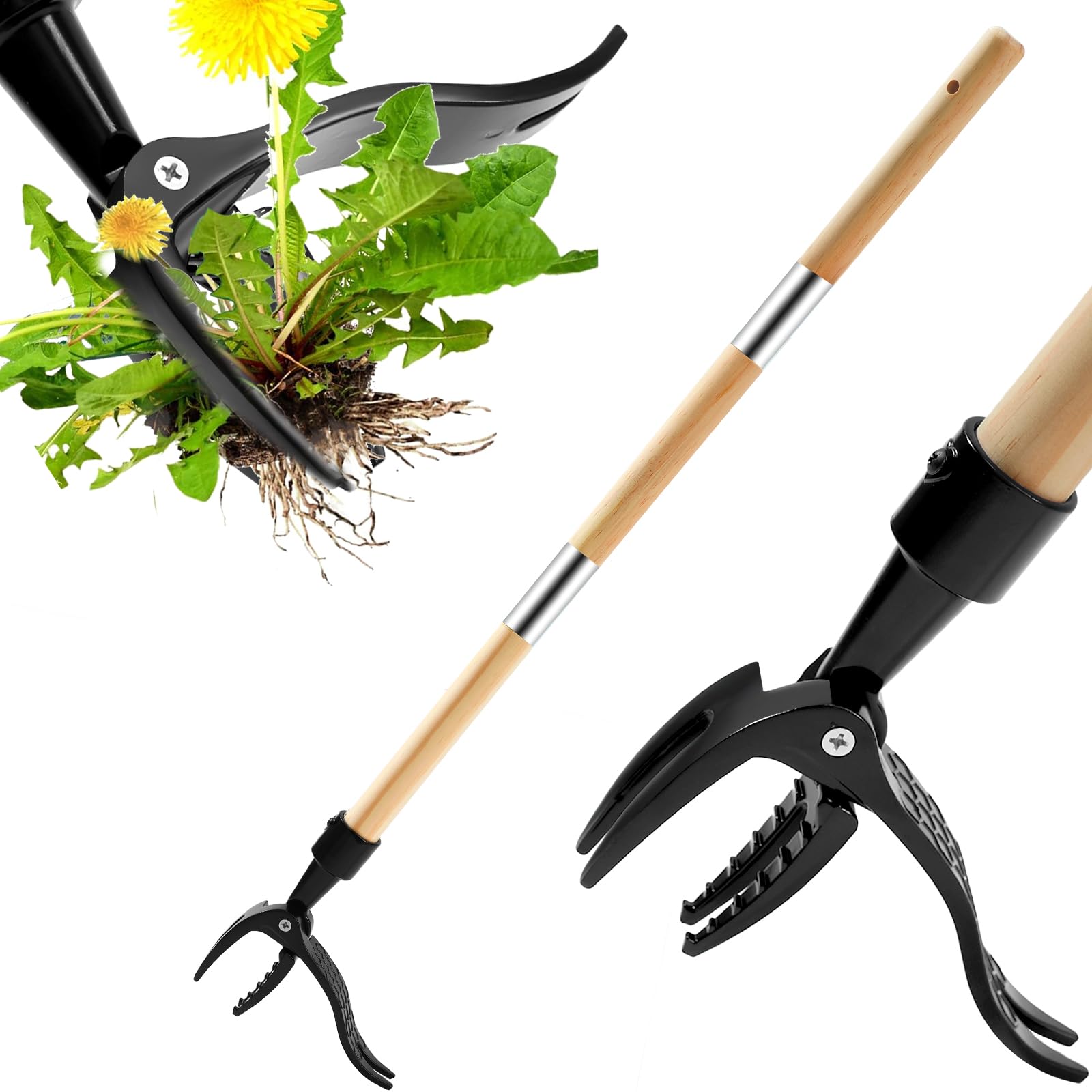 Detachable Stand Up Weed Puller Tool with Long Handle, Dandelion Weed Puller Tool Stand Up Heavy Duty, Outil d'élimination de Mauvaises Herbes de Jardin Long poignée (Bois 44in)