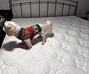 Review Image by robert raffaele robert raffaele