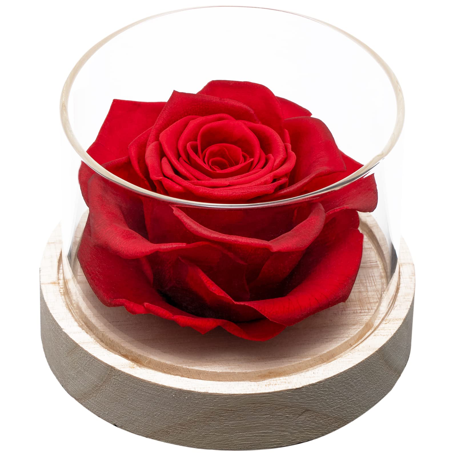 Home Scent Rose Real Fragrance Rose Last 4 Months Gifts for Women/Her Valentines Day Birthday Wedding Anniversary (Red)