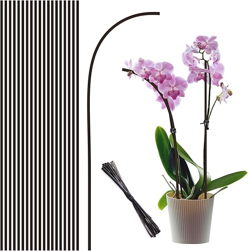 Estacas para plantas, 20 palitos para plantas, estacas de soporte para plantas de interior y exterior, plantas en maceta, flores, orquídea peonía,