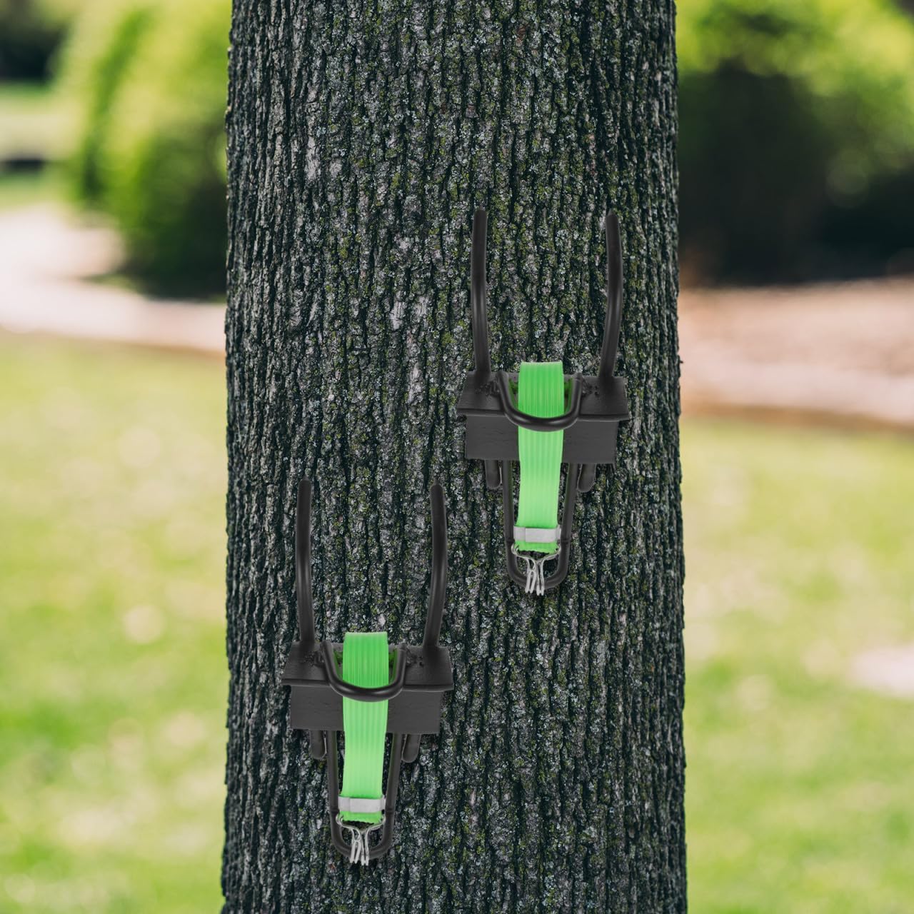 Tree Climbing Spikes Shoes with Non-Slip Ankle Buckles Durable Steel Climbing Gear for Outdoor Arborist Work and Recreational Tree Climbing