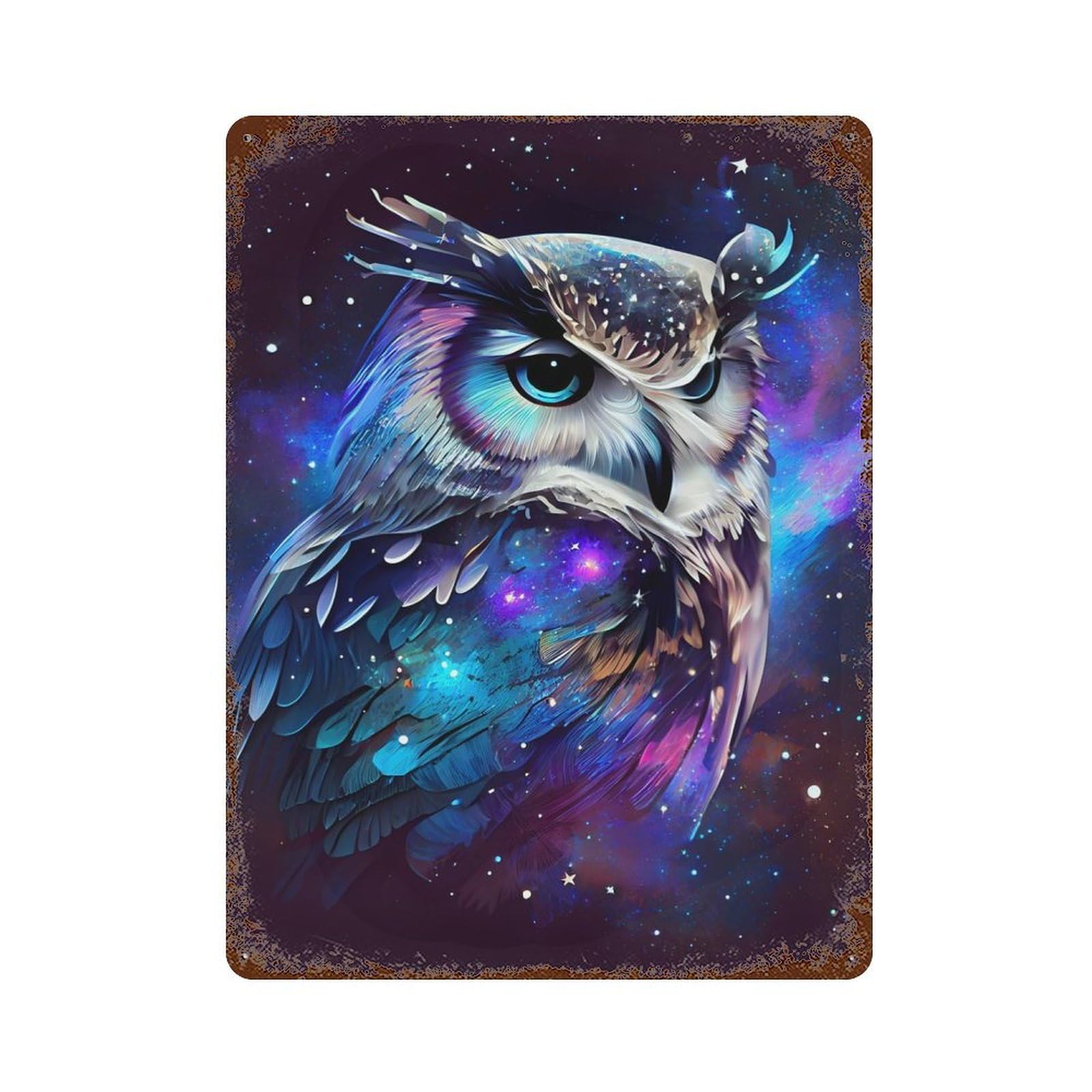 OWL with Galaxy Theme Retro Metal Sign 15.7"x11.8", Classic Wall Plaque for Garage, Pub Or Kitchen