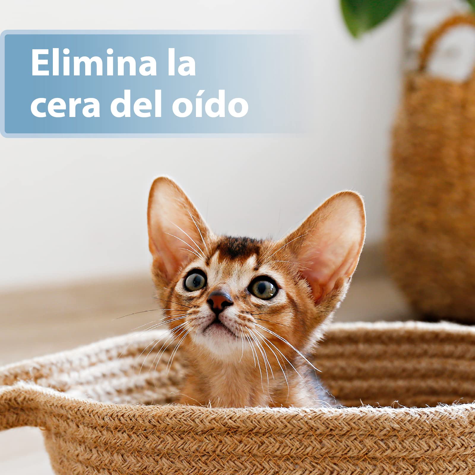 Felisept Almohadilla Para El Cuidado de los Oídos Para Gatos 50 piezas - Cuidado e higiene para orejas de gato - Alevines para una limpieza práctica e intuitiva - Limpiador de oídos para gatos