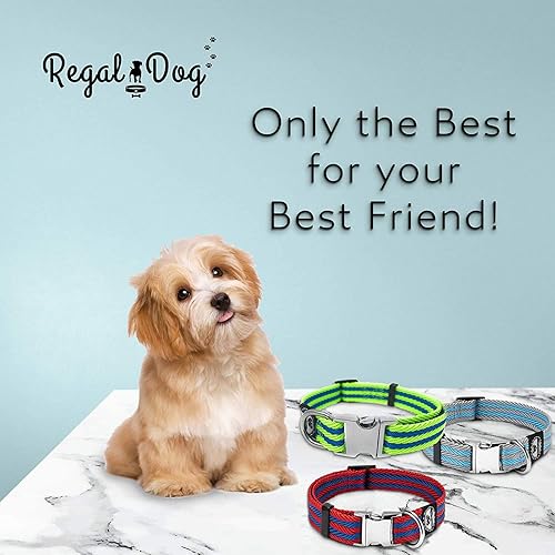 Miniatura 6 de Collar para mascotas con hebilla de metal y anillo en D, collar de perro duradero con cierre de metal reforzado y correas de nailon ajustable para