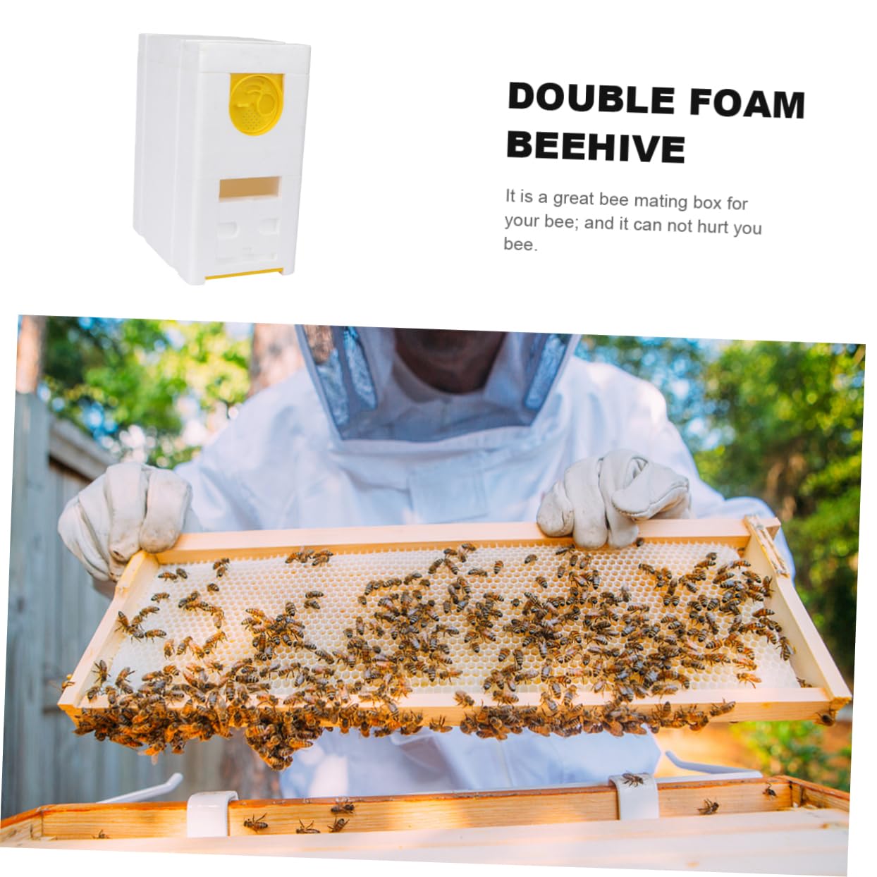 TOYANDONA Bienenwerkzeug Für Bienenzucht Bienenkasten Aus Sicherem Material Bienenbegattungskasten Zum Einfachen Gebrauch Bienenstockkasten Als Praktisches Zubehör Für Bienenzucht