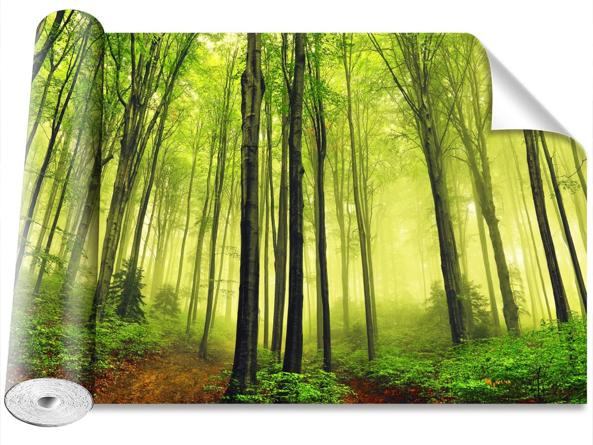 Papier Peint Auto-Adhésif rénover mur facilement Tulup Forêt 250cm