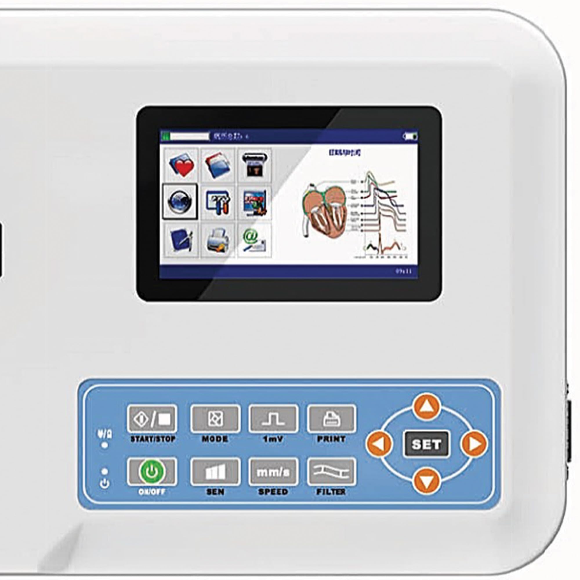 "P16" ECG 300G VET - 3 canali con display