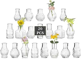 Glasseam Glass Small Vases for Table Decoration: Pack of 20 Mini Glass Vases Set Vintage Vase Small for Wedding Party Birthday Home Living Room Table Decoration