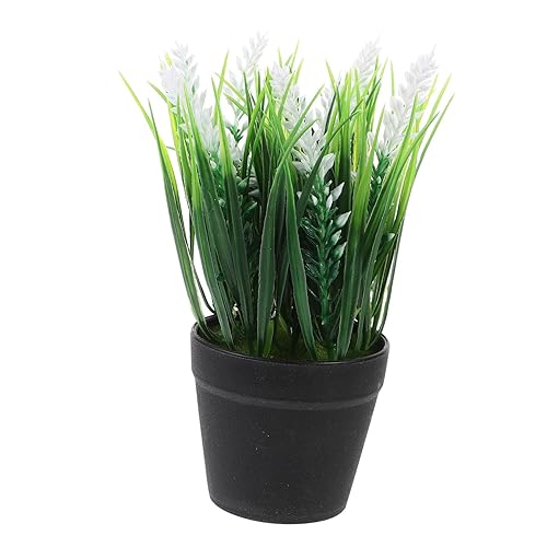 GLEAVI Realistic Mini Artificial Plant Clivia Bonsai Easy Care Decor