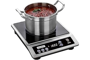 Breville Polyscience Induction Burner: Professional-Grade Precision Cooking