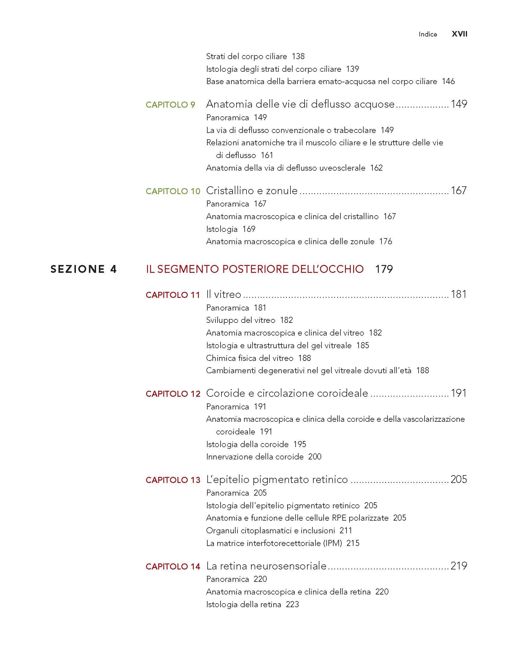 Anatomia dell'occhio e dell'orbita. Fondamenti clinici