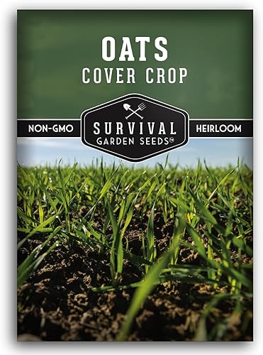 La avena cubre semillas de cultivo para plantar, 1 paquete con instrucciones para plantar y cultivar avena de alto rendimiento como cobertura o