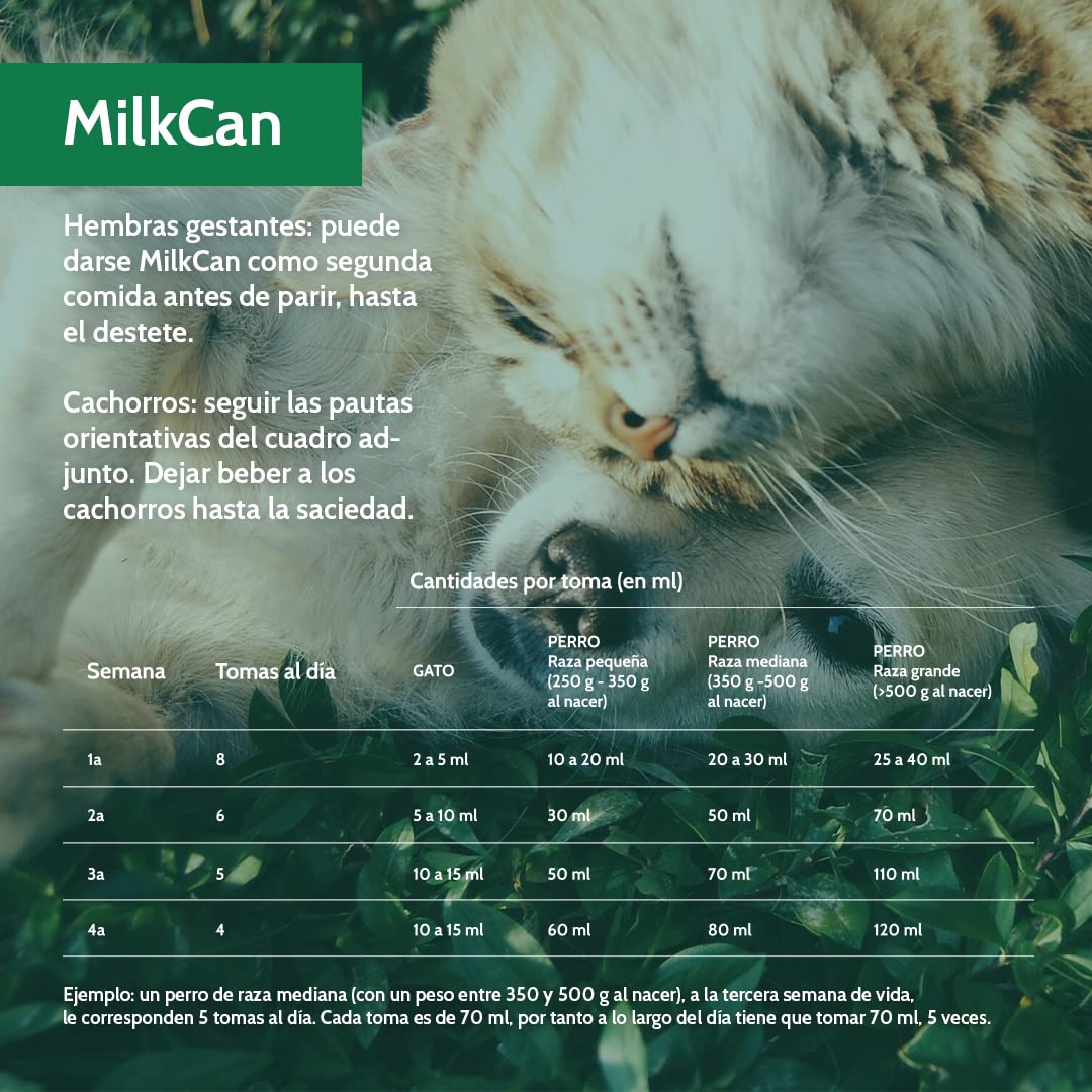 Stangest Mleko w proszku MilkCan | Mleko dla kotów i psów | Mleko w proszku | Suplement do karmienia piersią | Wysoka strawność i łatwa asymilacja | 2 kg