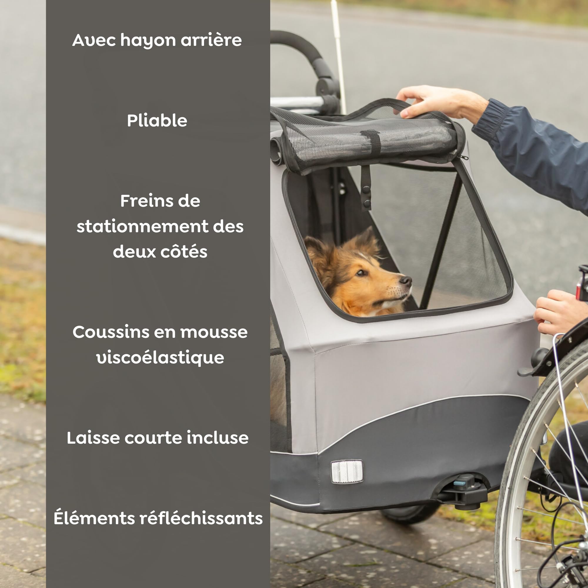 Trixie remorque vélo pour Chien 40 x 40 x 60 cm Jusqu’à 15 kg – remorque vélo réfléchissante avec Fonction de Pliage Rapide – avec Coussin et Laisse intégrés