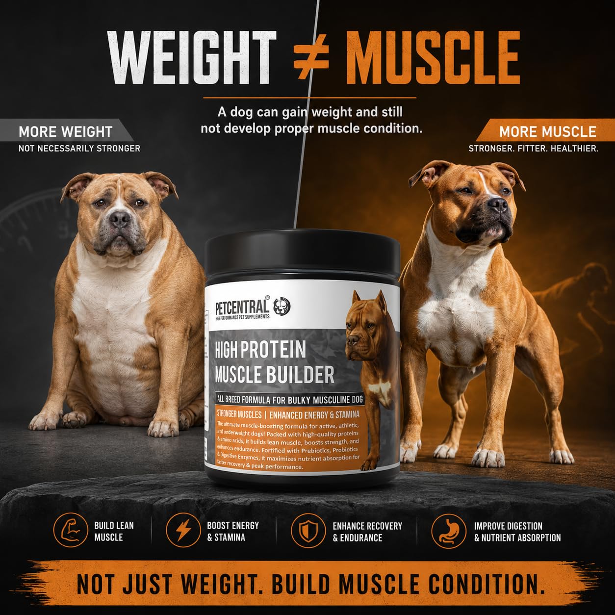 High-Protein Muscle Builder for Dogs 450g | Whey Protein & Amino Acid Supplement Powder | Supports Lean Muscle, Strength, Stamina & Recovery | Chicken Flavour | for Puppies & Adult Dogs — Amazon image 2