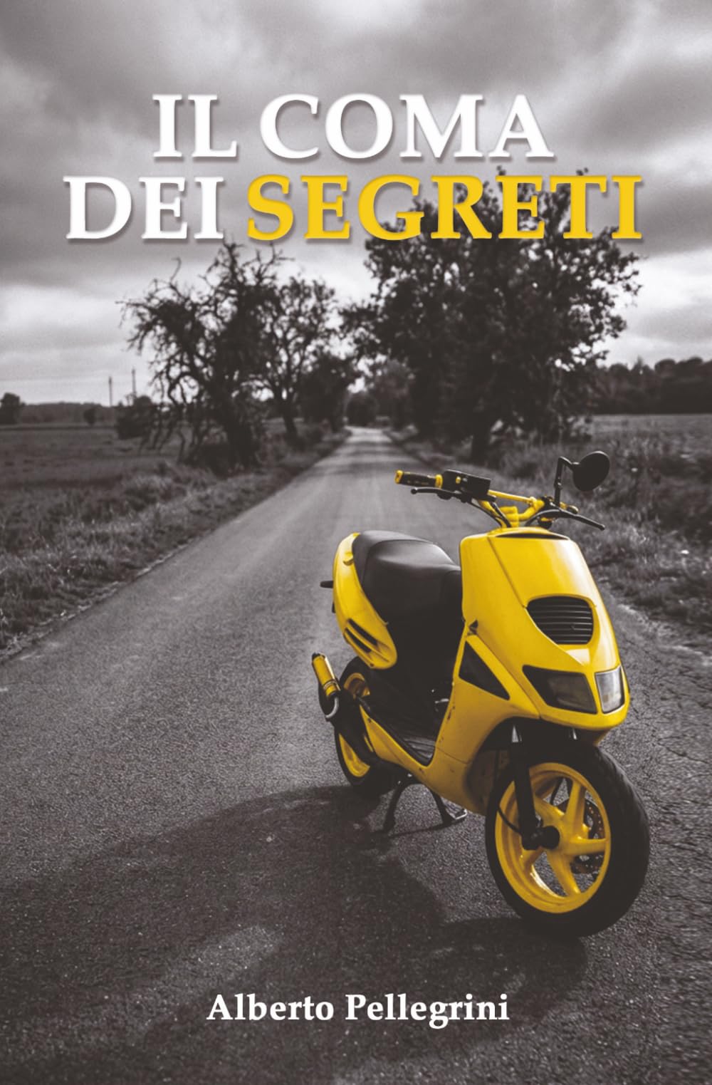 Il coma dei segreti: Un romanzo sull'amicizia, sull'amore e sul momento in cui tutto cambia (IL LABIRINTO)