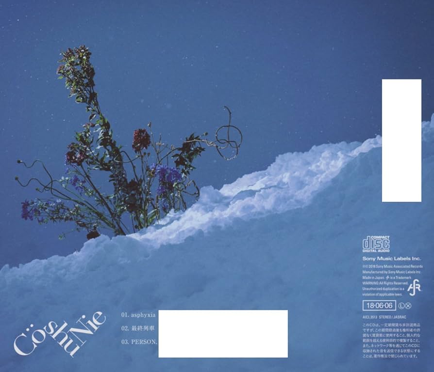 【未開封】 AcuticNotes CD Amazon.co.jp: TRUE SONG (CCCD): ミュージック