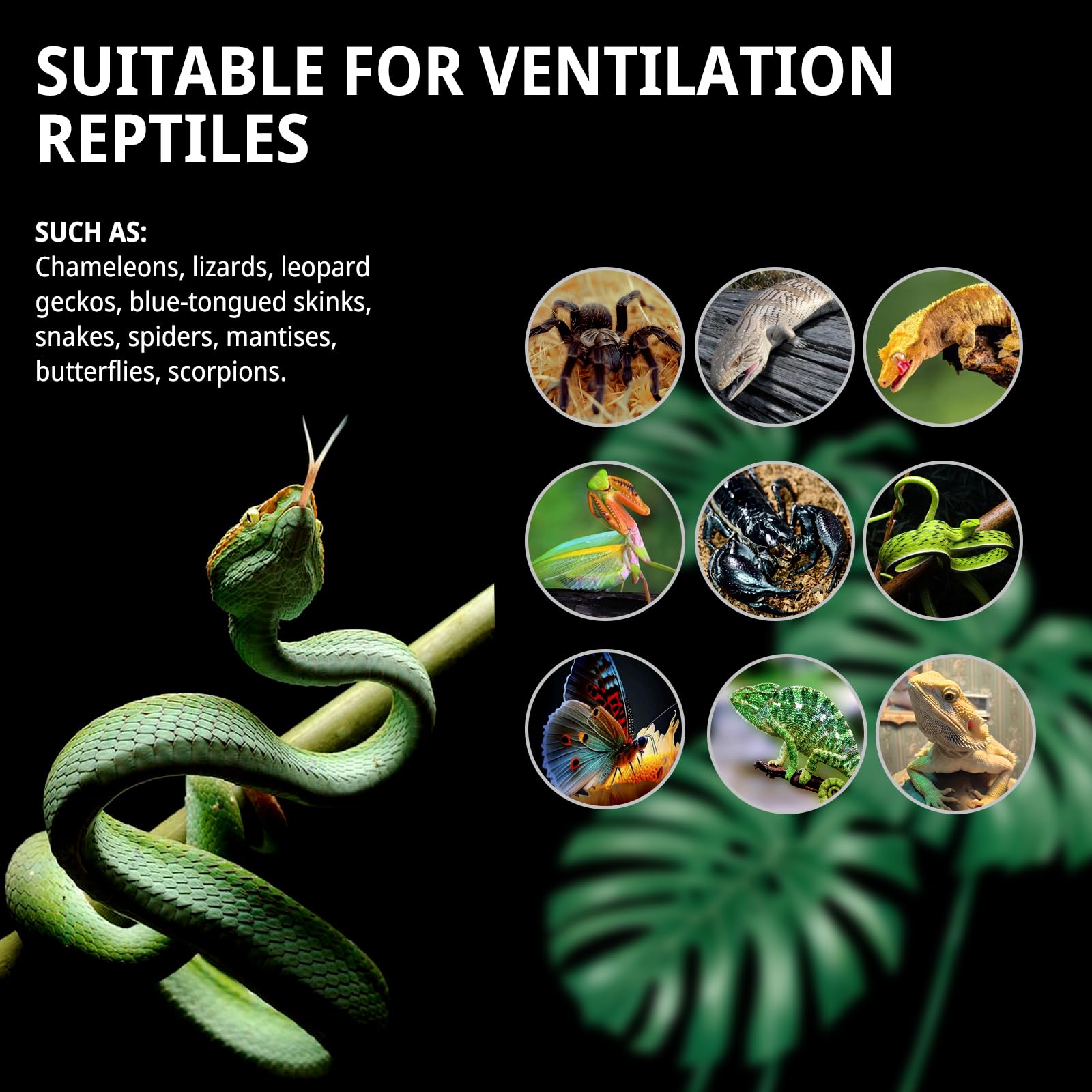 Recinto para reptiles de 13 galones, 19in x13in x13in de alto, tanque de malla vertical para camaleón, geco crestado, geco leopardo, dragón barbudo, rana, mariposa, araña, ventilación