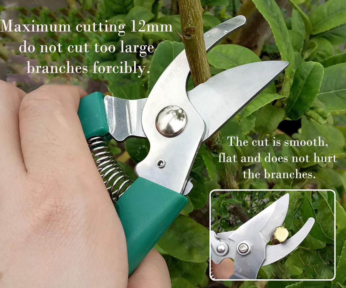 No/Brand Stainless Steel 10 Pieces Garden Tools Set Garden Utensils Shovel, Rake, Spade, Scissors, Sprinkling Can, Gardening Supplies for Trimming Watering Shoveling Soil