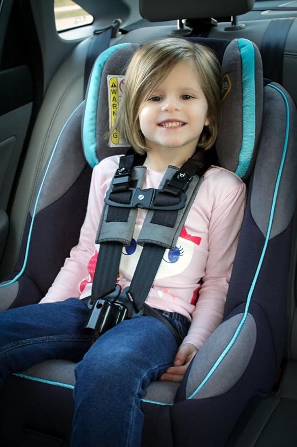 5 point harness for special needs