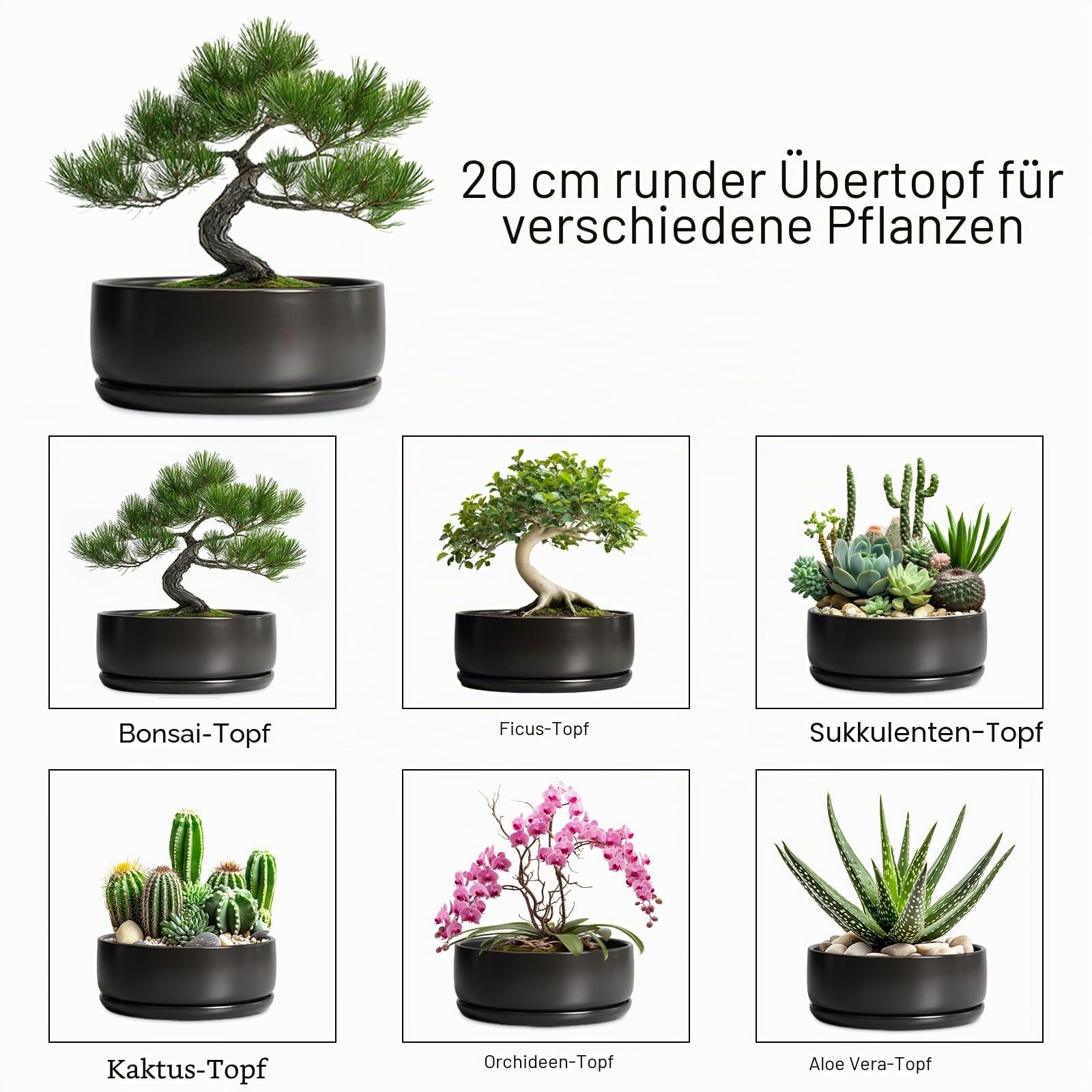 SQOWL Bonsai-Töpfe – 20,3 cm Keramik-Pflanztöpfe für Sukkulenten, runder Indoor-Pflanztopf mit Ablaufloch und Untersetzer, Flache Moderne Pflanzschale, Raumdekoration, Schwarz