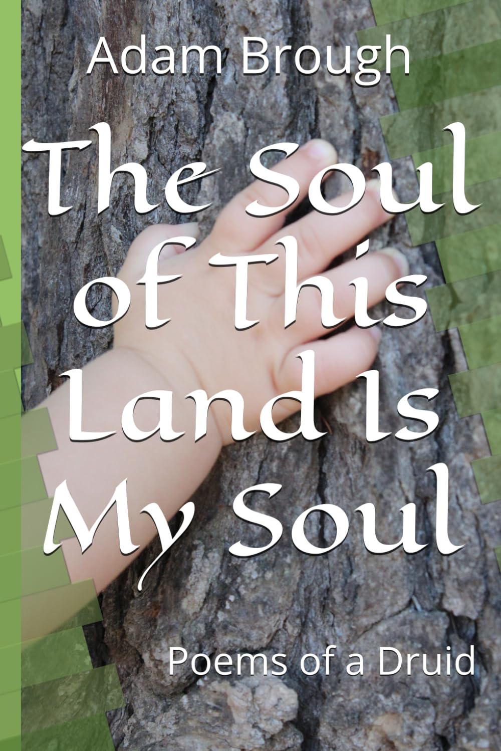 The Soul of This Land Is My Soul: Poems of a Druid