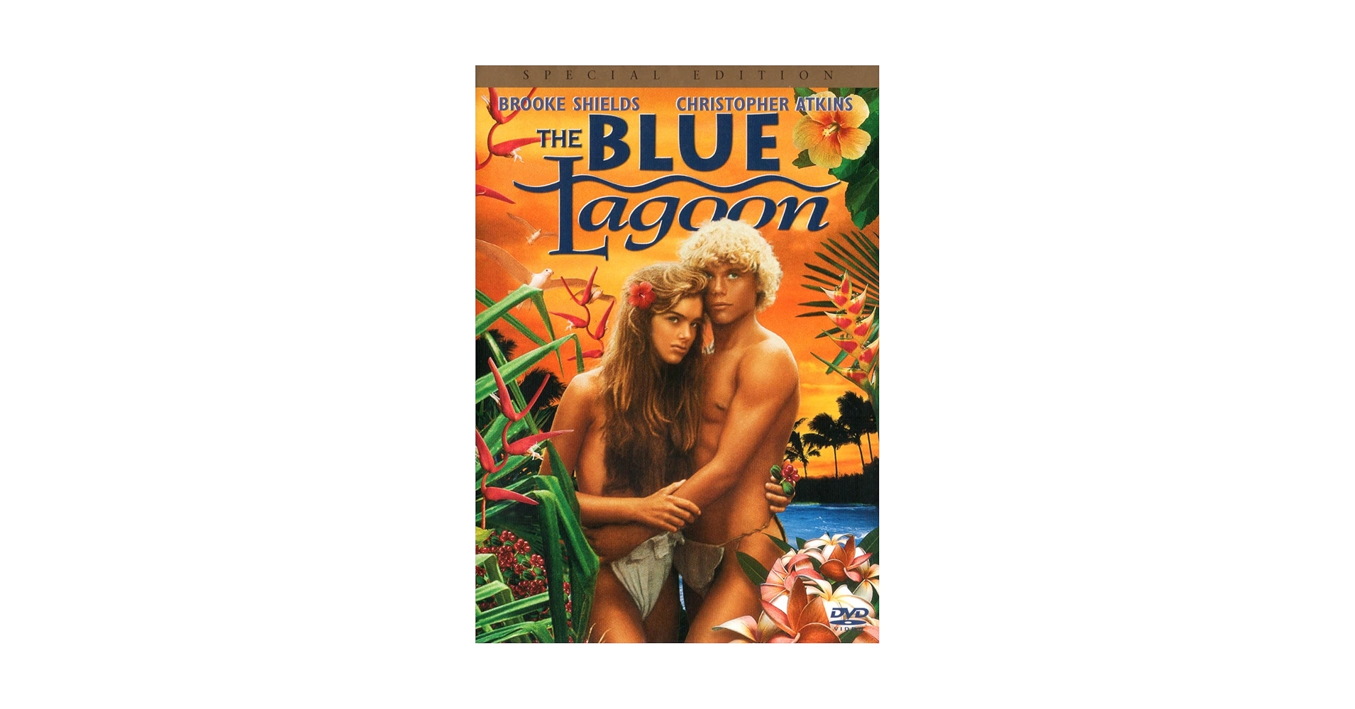 DVD  パラダイス・ブルーラグーン Amazon.co.jp: ブルーラグーン [レンタル落ち] : DVD