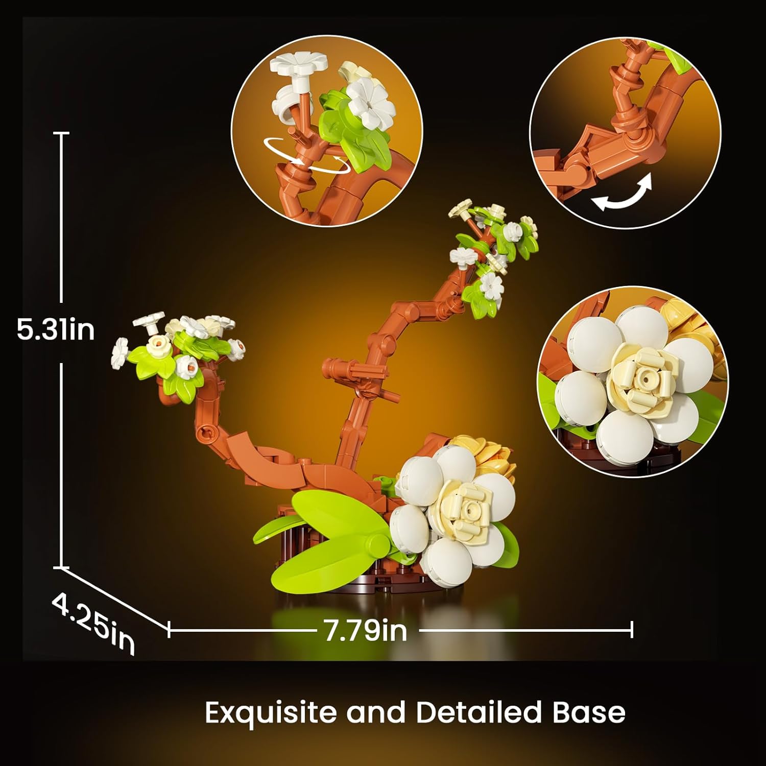 Close-up of the botanical base components and dimensions